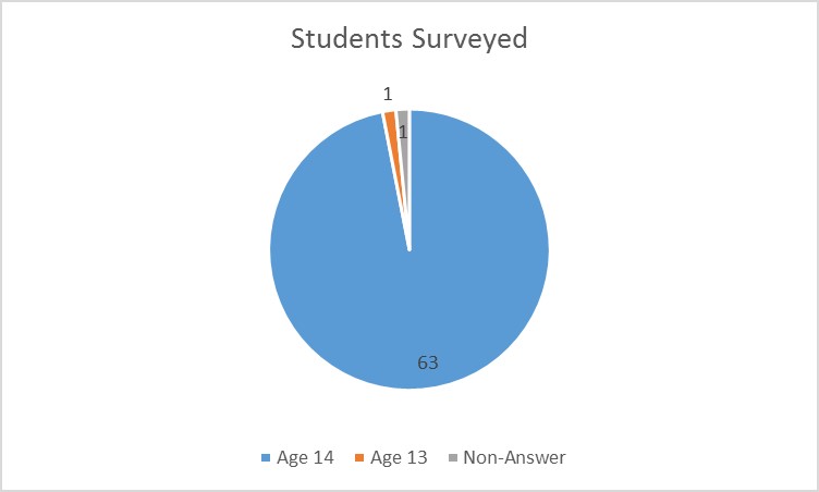 number of students ages graphic